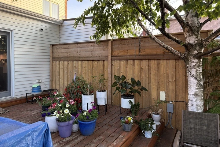 Cedar wood privacy fence and sealed wooden deck with potted plants